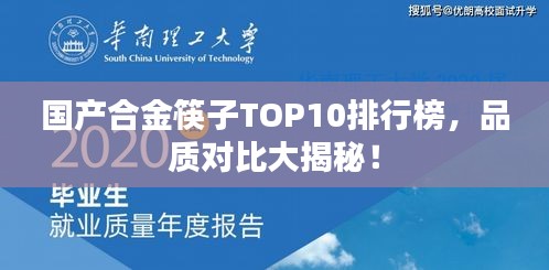 国产合金筷子TOP10排行榜，品质对比大揭秘！