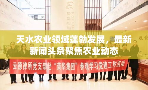 天水农业领域蓬勃发展，最新新闻头条聚焦农业动态
