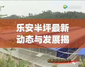 乐安半坪最新动态与发展揭秘，新闻头条抢先看