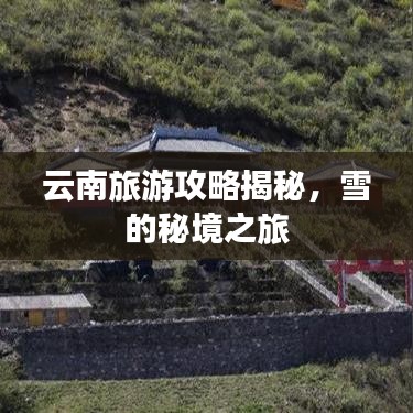 铁石心肠 第2页