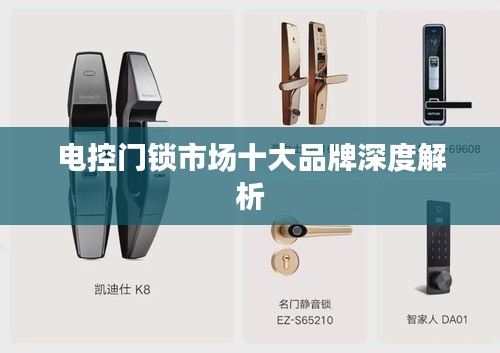 电控门锁市场十大品牌深度解析