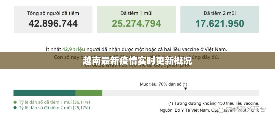越南最新疫情实时更新概况