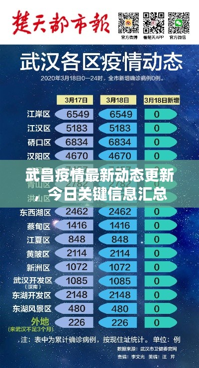 武昌疫情最新动态更新，今日关键信息汇总