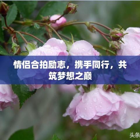 情侣合拍励志，携手同行，共筑梦想之巅