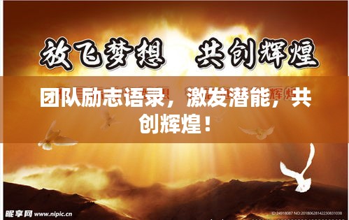 电视机 第46页