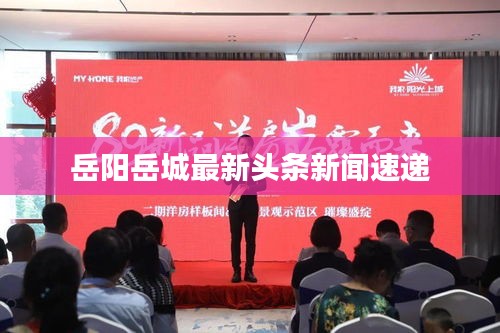 岳阳岳城最新头条新闻速递