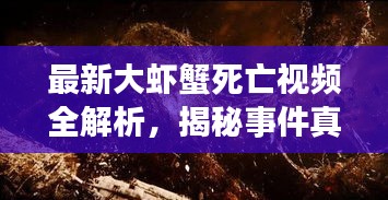 最新大虾蟹死亡视频全解析，揭秘事件真相！