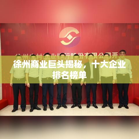 徐州商业巨头揭秘，十大企业排名榜单