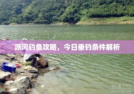 派河钓鱼攻略，今日垂钓条件解析