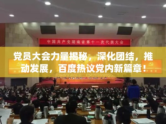 党员大会力量揭秘，深化团结，推动发展，百度热议党内新篇章！