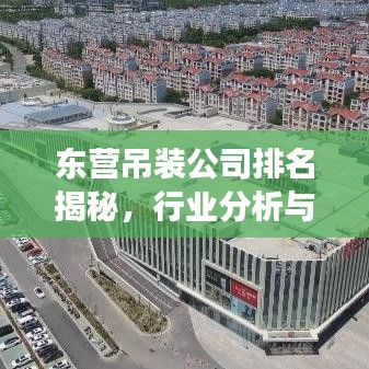 东营吊装公司排名揭秘，行业分析与深度解读