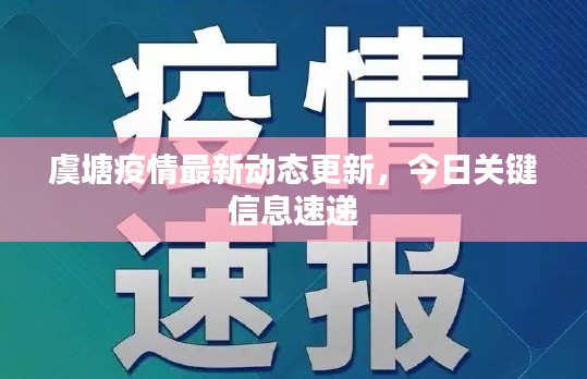虞塘疫情最新动态更新，今日关键信息速递