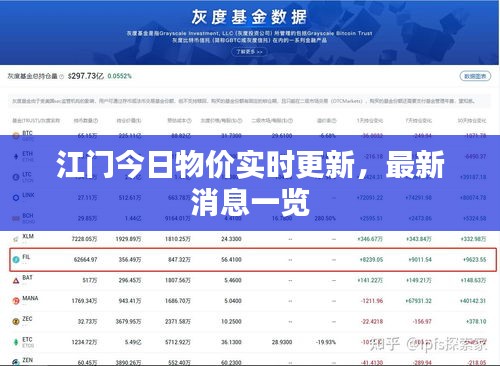 江门今日物价实时更新，最新消息一览