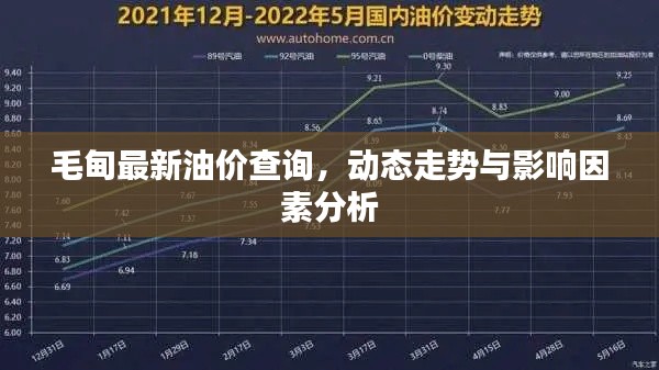 毛甸最新油价查询，动态走势与影响因素分析