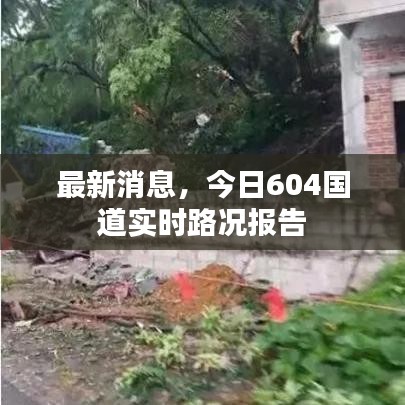 最新消息，今日604国道实时路况报告