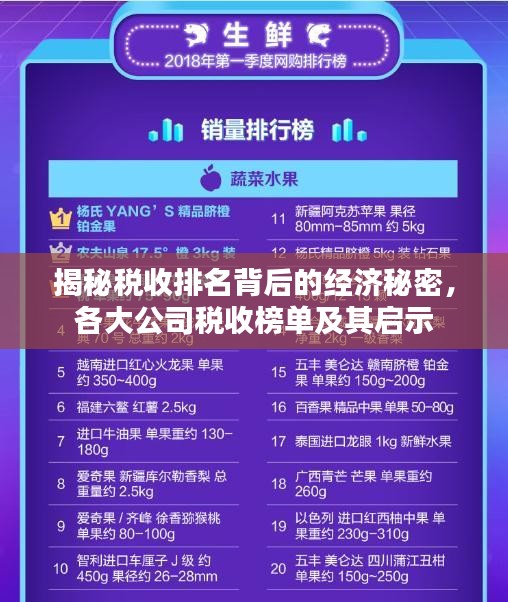 揭秘税收排名背后的经济秘密，各大公司税收榜单及其启示