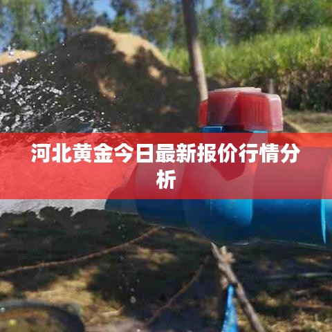 河北黄金今日最新报价行情分析