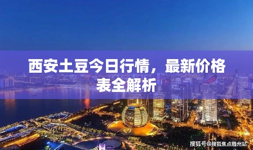 西安土豆今日行情，最新价格表全解析