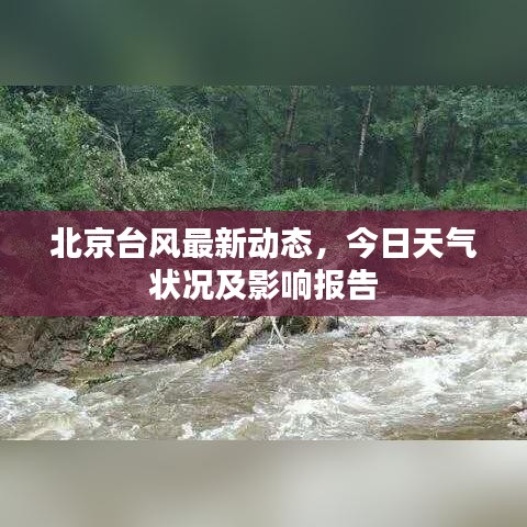 北京台风最新动态，今日天气状况及影响报告