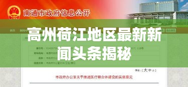 高州荷江地区最新新闻头条揭秘