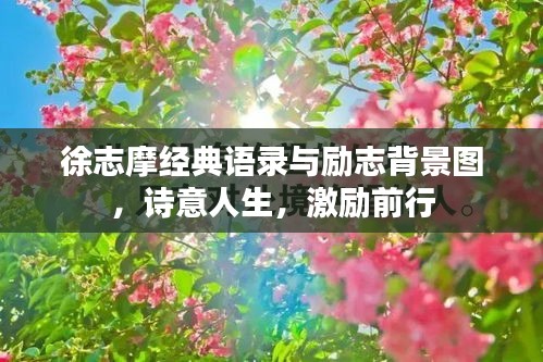 徐志摩经典语录与励志背景图，诗意人生，激励前行