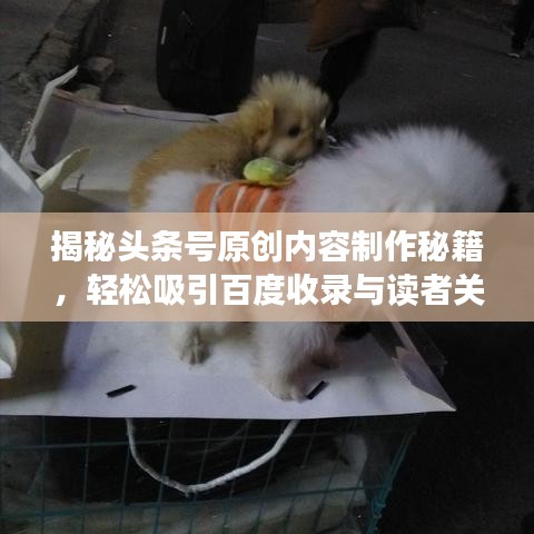 揭秘头条号原创内容制作秘籍，轻松吸引百度收录与读者关注！