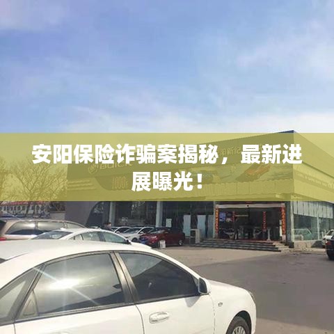 安阳保险诈骗案揭秘，最新进展曝光！
