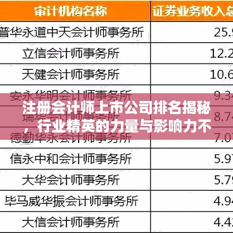注册会计师上市公司排名揭秘，行业精英的力量与影响力不容小觑