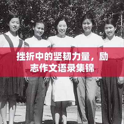 挫折中的坚韧力量，励志作文语录集锦