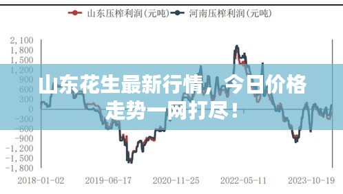 山东花生最新行情，今日价格走势一网打尽！