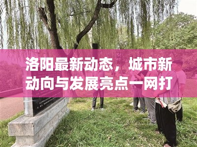 洛阳最新动态，城市新动向与发展亮点一网打尽