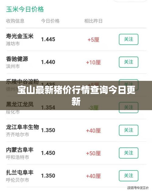 宝山最新猪价行情查询今日更新