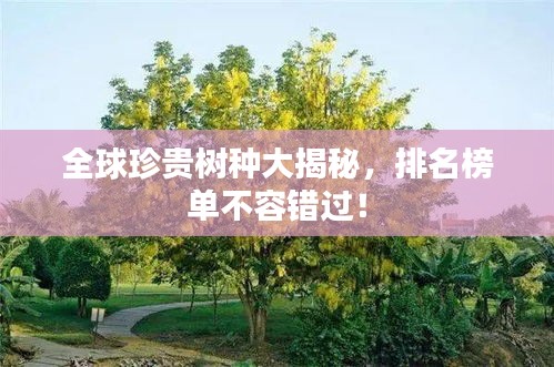 全球珍贵树种大揭秘，排名榜单不容错过！