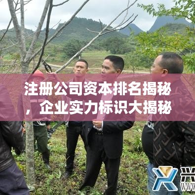 注册公司资本排名揭秘，企业实力标识大揭秘！
