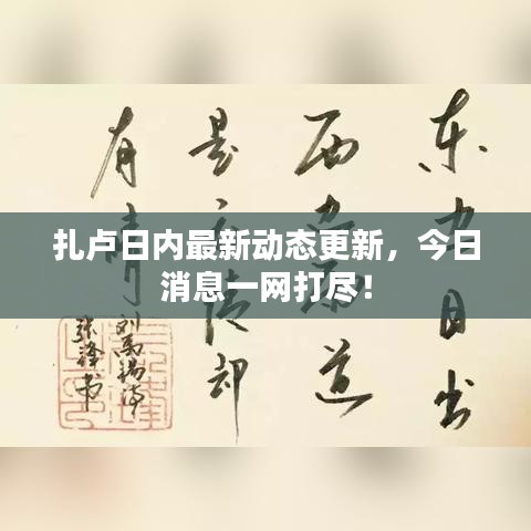 扎卢日内最新动态更新，今日消息一网打尽！