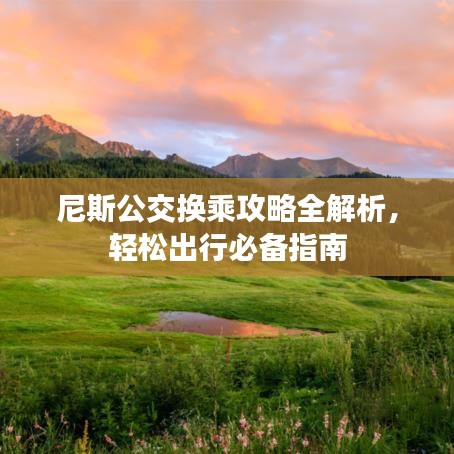尼斯公交换乘攻略全解析，轻松出行必备指南