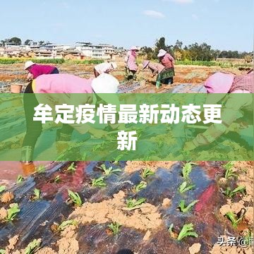 牟定疫情最新动态更新