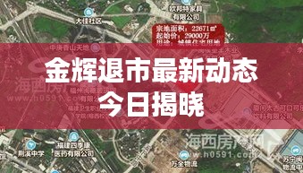 金辉退市最新动态今日揭晓