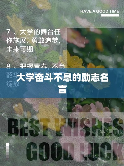 大学奋斗不息的励志名言