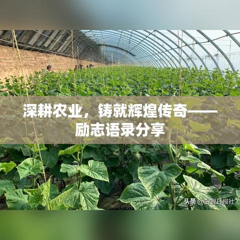深耕农业，铸就辉煌传奇——励志语录分享