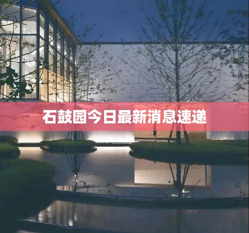 石鼓园今日最新消息速递