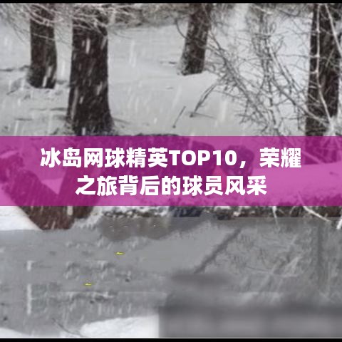 冰岛网球精英TOP10，荣耀之旅背后的球员风采