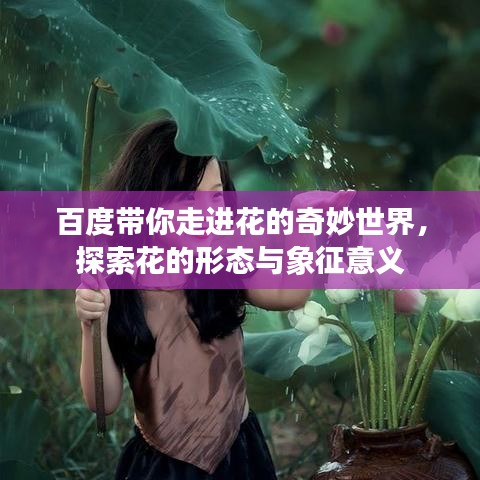 百度带你走进花的奇妙世界，探索花的形态与象征意义