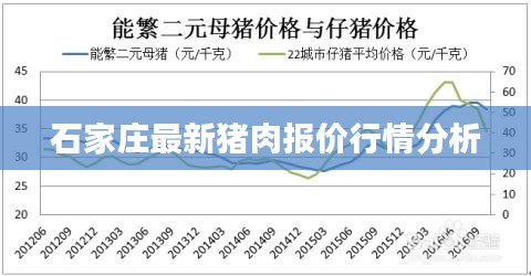 石家庄最新猪肉报价行情分析