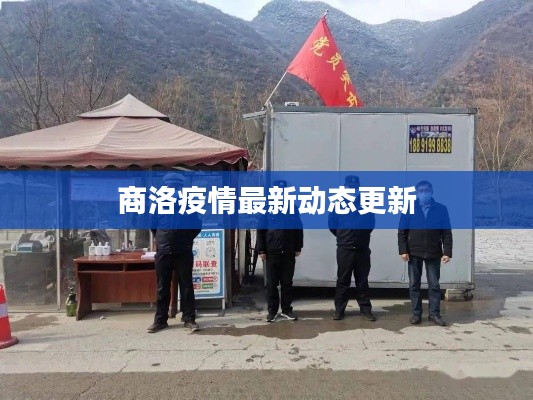 商洛疫情最新动态更新