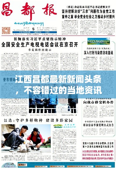 江西昌都最新新闻头条，不容错过的当地资讯！