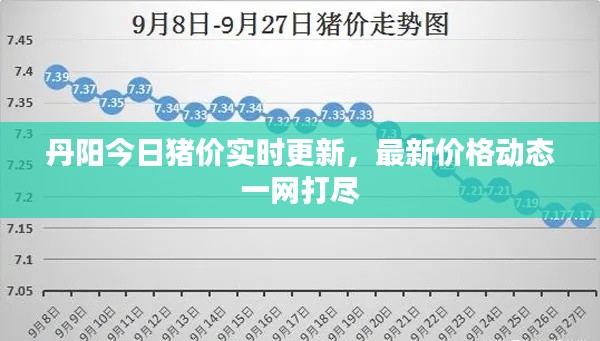 丹阳今日猪价实时更新，最新价格动态一网打尽