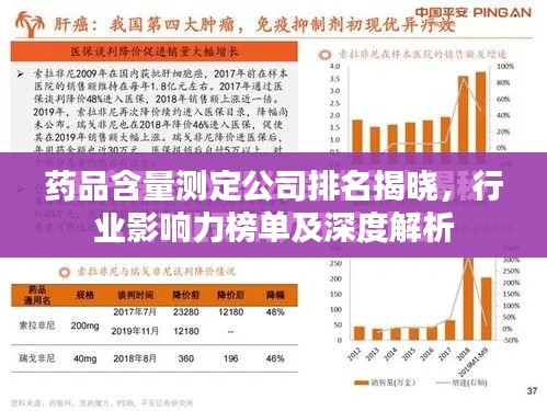 药品含量测定公司排名揭晓，行业影响力榜单及深度解析