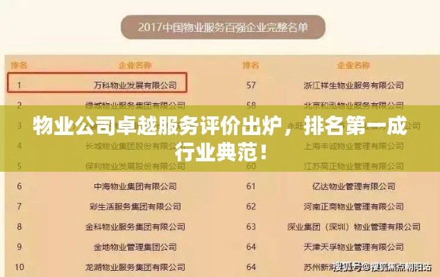 物业公司卓越服务评价出炉，排名第一成行业典范！