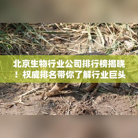 北京生物行业公司排行榜揭晓！权威排名带你了解行业巨头